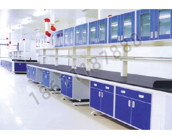 點(diǎn)擊查看商品:實(shí)驗臺